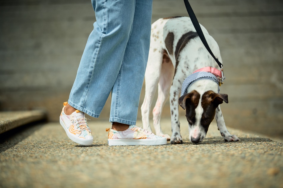 Keds Kickback Algodón Orgánico Groovy Floral Multi Para Mujer